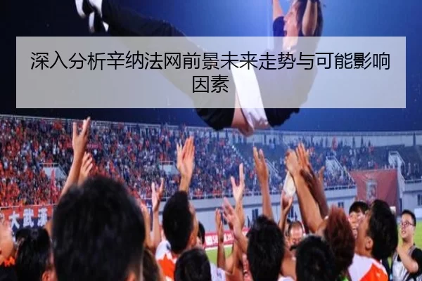 深入分析辛纳法网前景未来走势与可能影响因素